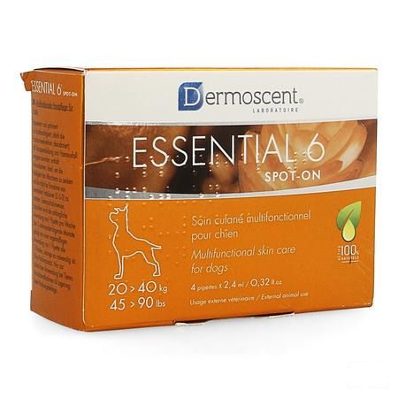 Essential 6 Spot-on Hond 20-40kg et 4x2,4 ml 