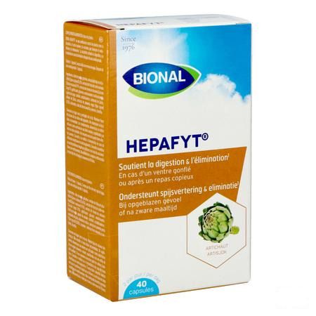 Bional Hepafyt Capsule 40  -  Ocebio