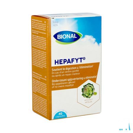 Bional Hepafyt Capsule 40  -  Ocebio