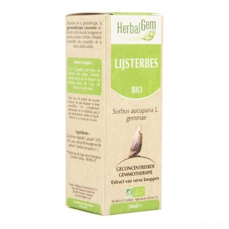 Herbalgem Lijsterbes Maceraat 50 ml  -  Herbalgem