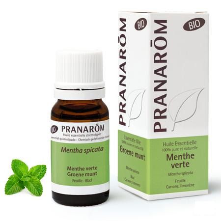 Groene Munt Bio Essentiele Olie 10 ml  -  Pranarom