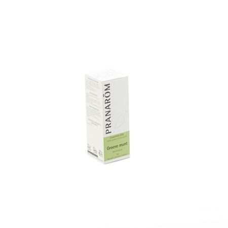 Groene Munt Essentiele Olie 10 ml  -  Pranarom